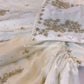 Ivory Fendy Sharara Set with Real Mirror Embroidery & Dupatta