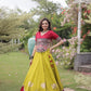 Lotus Gota Mirror Lehenga Set