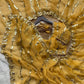 Moss Silk Leheriya Sequin Saree with Blouse