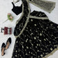 Noir Sequin Lehenga Saree