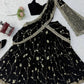 Noir Sequin Lehenga Saree