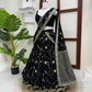 Noir Sequin Lehenga Saree