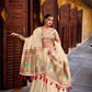 Paithani Zari Weaving Shimmer Lehenga Choli Set with Dupatta – Wedding & Festive Wear