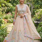 Pastel Organza Embroidered Lehenga Choli Set for Wedding and Festive Occasions