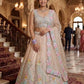 Pastel Organza Embroidered Lehenga Choli Set for Wedding and Festive Occasions