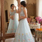 Pastel Organza Embroidered Lehenga Choli Set for Wedding and Festive Occasions
