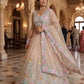 Pastel Organza Embroidered Lehenga Choli Set for Wedding and Festive Occasions