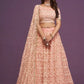 Peach Net Embroidered Lehenga Choli Set
