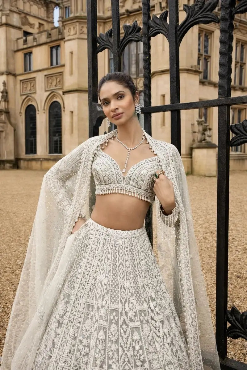 Premium Net Sequins Pearl Border Lehenga Set