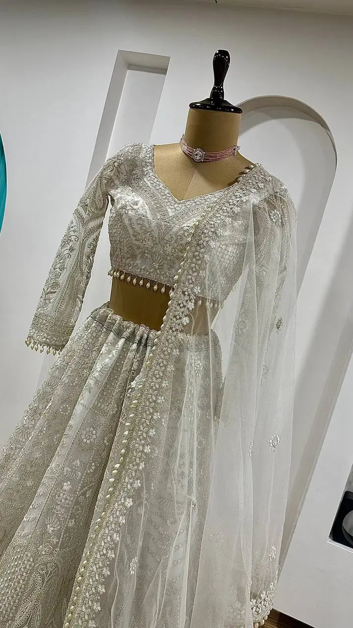 Premium Net Sequins Pearl Border Lehenga Set