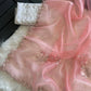 Pure Organza Saree With Jardoshi Hand Embroidery