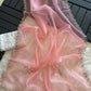Pure Organza Saree With Jardoshi Hand Embroidery