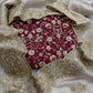 Rangoli Silk Zari Embroidered Saree With Designer Blouse