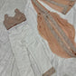 Ready to Wear Pre Stitched Saree with Pant for Festive and Party Wear