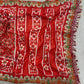 Red Patola Print Vichitra Silk Saree