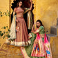 Royal Organza Paithani Lehenga Set for Wedding and Bridal Wear