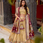 Royal Organza Paithani Lehenga Set for Wedding and Bridal Wear