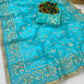 Saree with Maharani Jaal Gota Ribbon Work & Sabhyasachi Lace Border