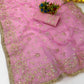 Saree with Maharani Jaal Gota Ribbon Work & Sabhyasachi Lace Border