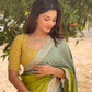 Shaded Chinnon Saree with Mirror and Sequin Embroidery