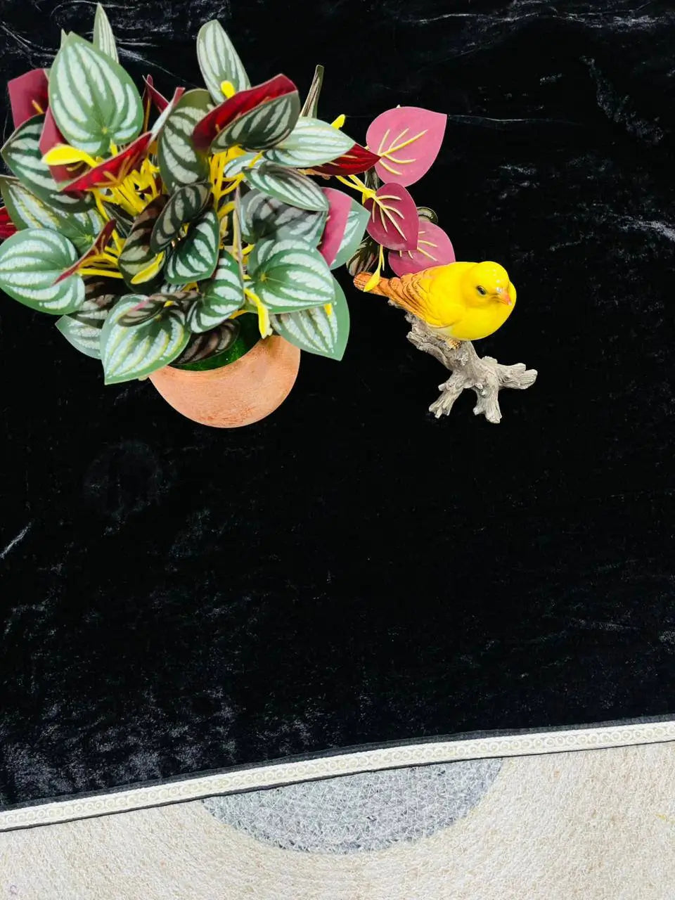 Velvet Pearl Border Saree