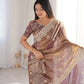 Zari Bordered Shimmer Saree
