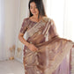 Zari Bordered Shimmer Saree