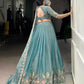 Zari Shimmer Embroidered Lehenga Set with Dupatta