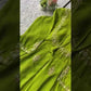Lime Green Georgette Sequence Embroidered Gown with Dupatta